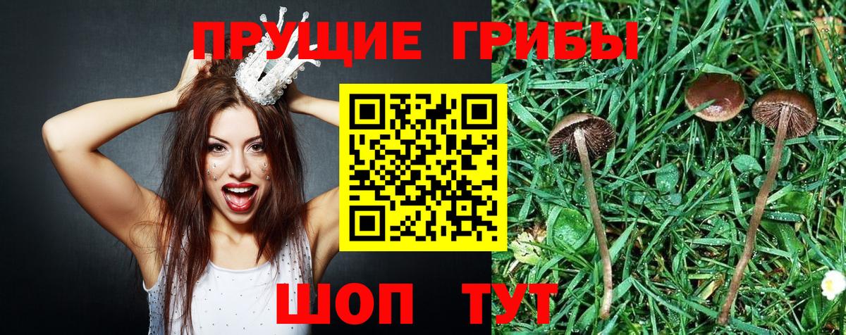 Псилоцибиновые грибы прущие грибы  Галлюциногенные грибы MAGIC MUSHROOMS  Луховицы  Вход с VPN 